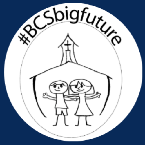 BCS Big Future Auction